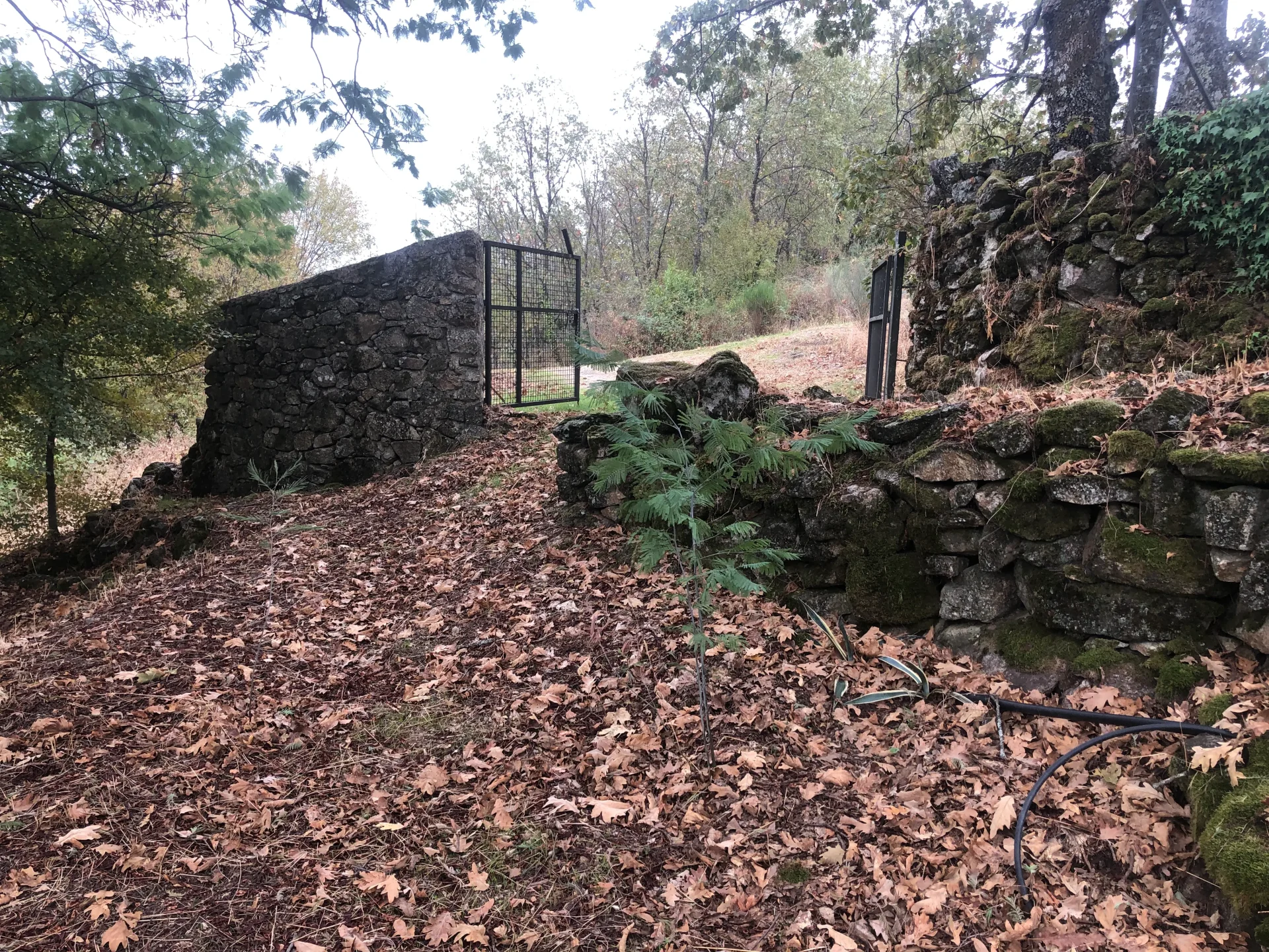 Finca-Las-Navas_entrada-principal