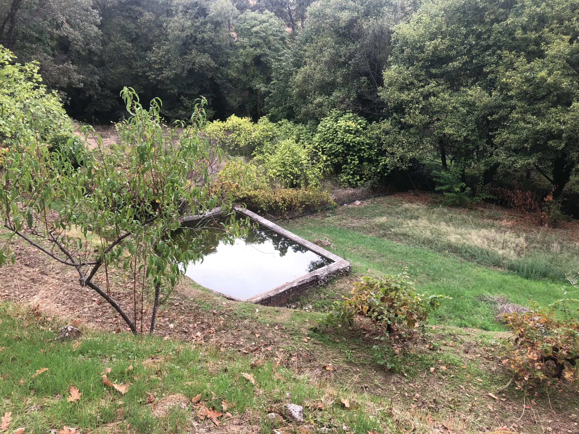 Finca-Las-Navas_alberca-huerto