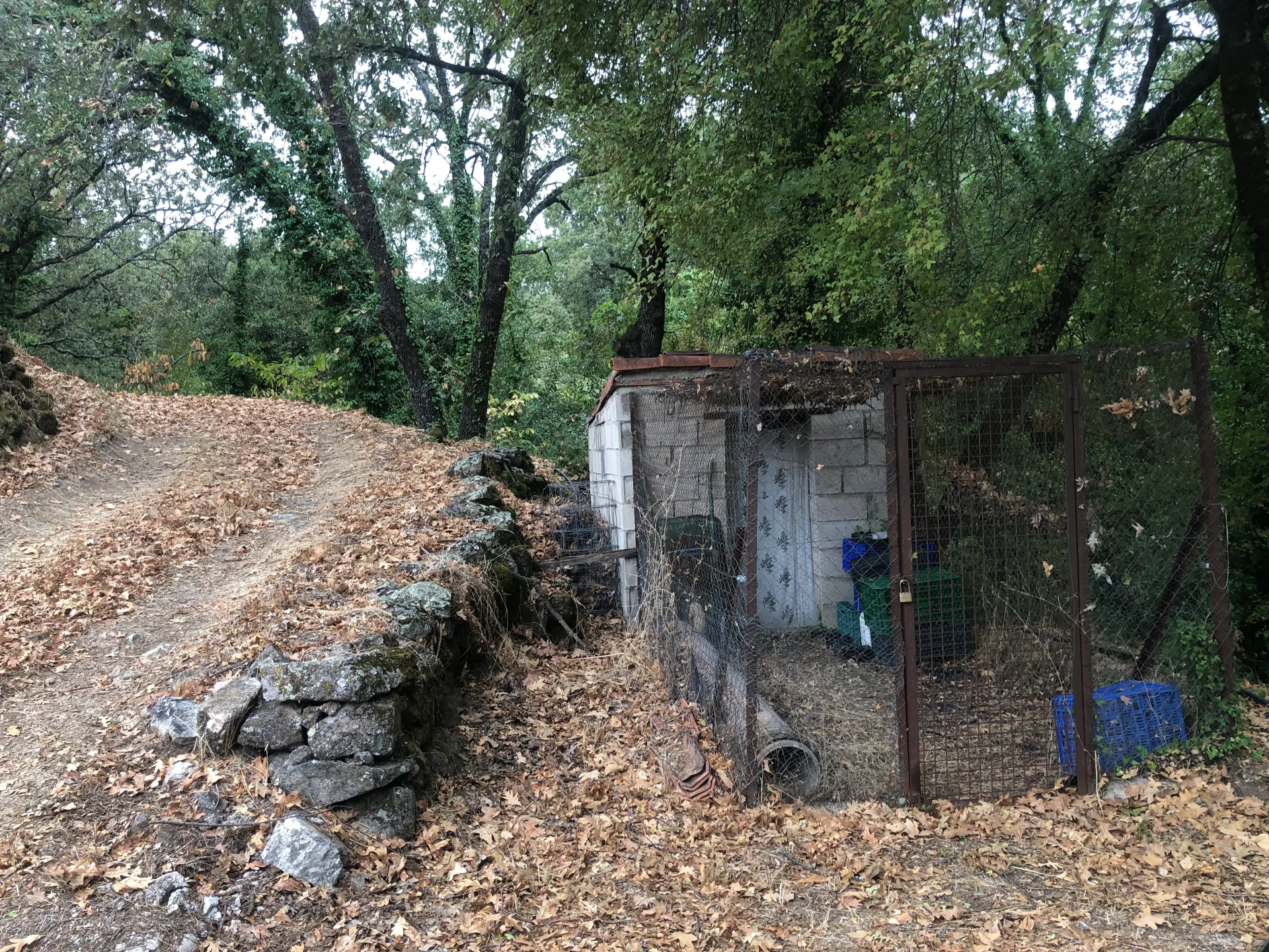 Finca-Las-Navas_antiguo-gallinero