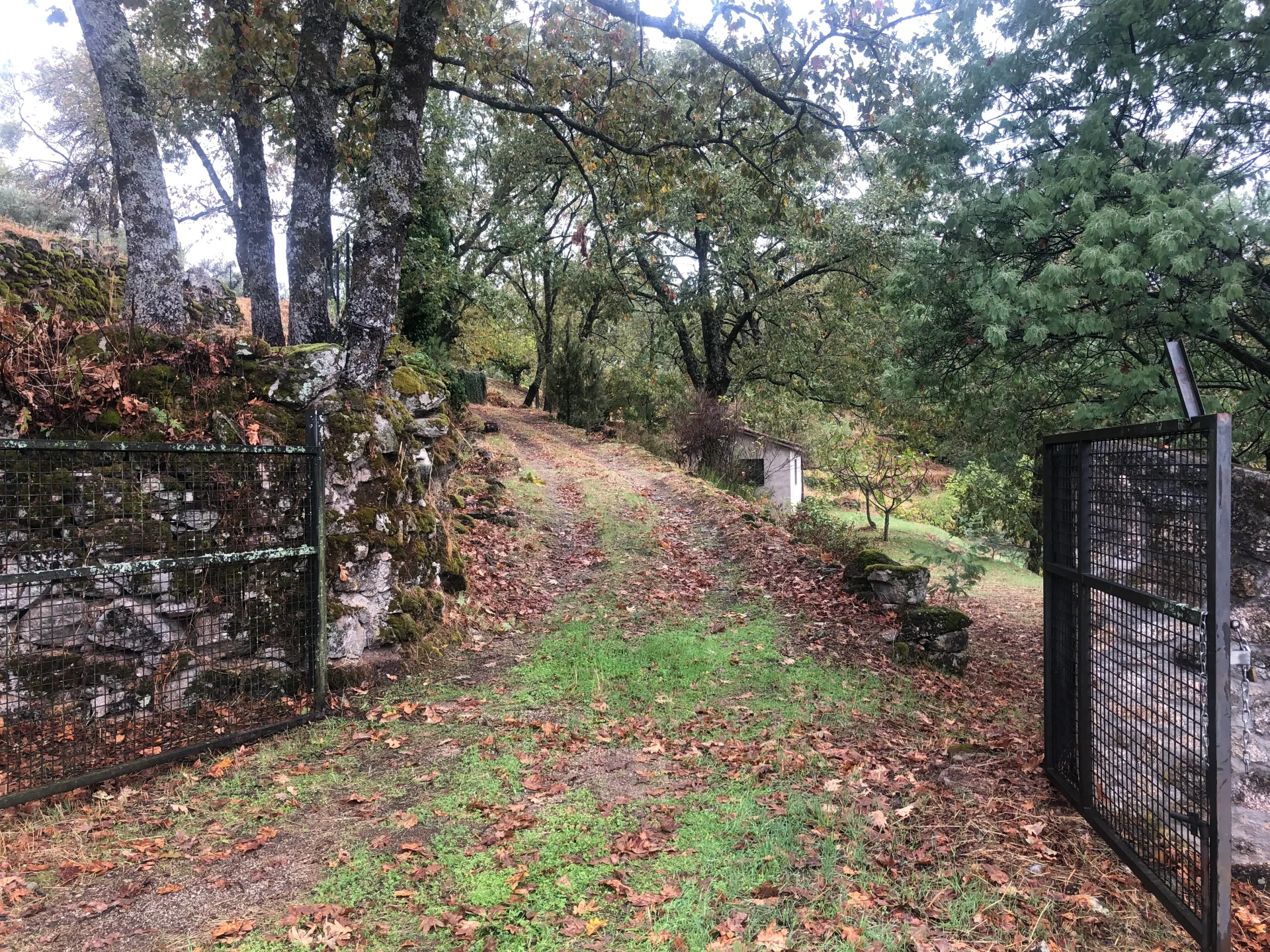 Finca-Las-Navas_acceso-principal